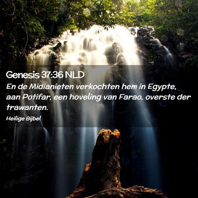 Picture 02 - Genesis 37:36 NLD - En de Midianieten verkochten hem in Egypte, aan - Bible Verse Picture