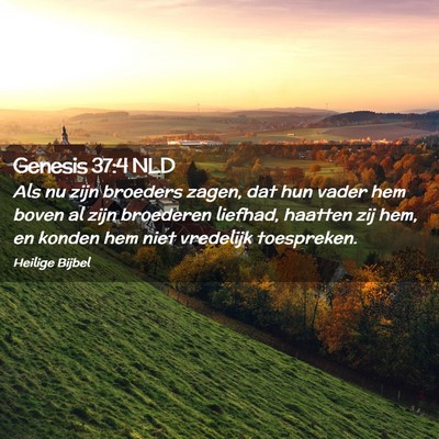 Picture 02 - Genesis 37:4 NLD - Als nu zijn broeders zagen, dat hun vader hem - Bible Verse Picture