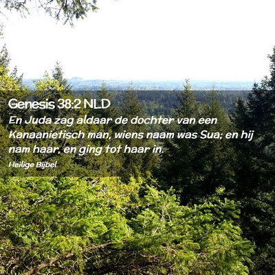 Picture 02 - Genesis 38:2 NLD - En Juda zag aldaar de dochter van een - Bible Verse Picture