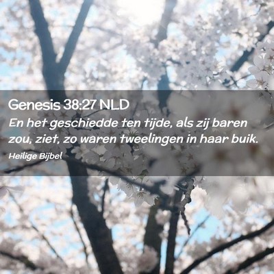 Picture 02 - Genesis 38:27 NLD - En het geschiedde ten tijde, als zij baren zou, - Bible Verse Picture