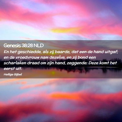 Picture 02 - Genesis 38:28 NLD - En het geschiedde, als zij baarde, dat een de - Bible Verse Picture