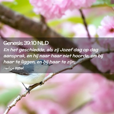 Picture 02 - Genesis 39:10 NLD - En het geschiedde, als zij Jozef dag op dag - Bible Verse Picture