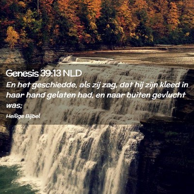 Picture 02 - Genesis 39:13 NLD - En het geschiedde, als zij zag, dat hij zijn - Bible Verse Picture