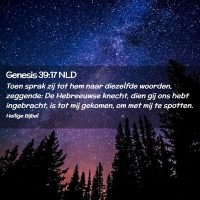 Picture 02 - Genesis 39:17 NLD - Toen sprak zij tot hem naar diezelfde woorden, - Bible Verse Picture