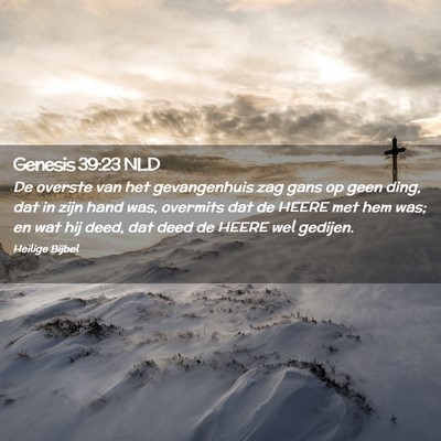 Picture 02 - Genesis 39:23 NLD - De overste van het gevangenhuis zag gans op geen - Bible Verse Picture