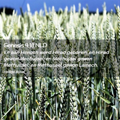 Picture 02 - Genesis 4:18 NLD - En aan Henoch werd Hirad geboren; en Hirad gewon - Bible Verse Picture