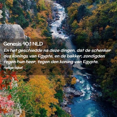 Picture 02 - Genesis 40:1 NLD - En het geschiedde na deze dingen, dat de schenker - Bible Verse Picture