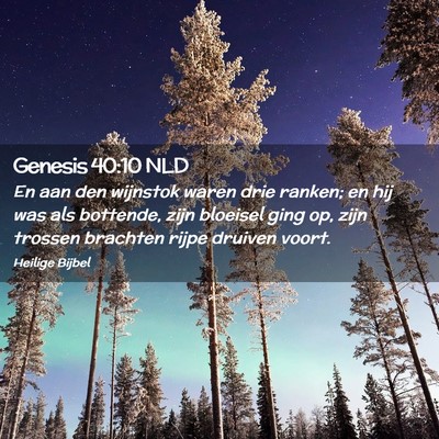 Picture 02 - Genesis 40:10 NLD - En aan den wijnstok waren drie ranken; en hij was - Bible Verse Picture