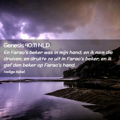 Picture 02 - Genesis 40:11 NLD - En Farao's beker was in mijn hand; en ik nam die - Bible Verse Picture
