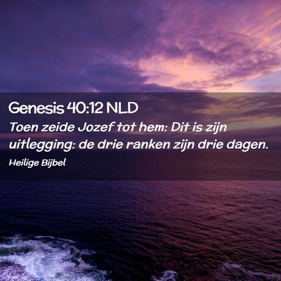 Picture 02 - Genesis 40:12 NLD - Toen zeide Jozef tot hem: Dit is zijn uitlegging: - Bible Verse Picture