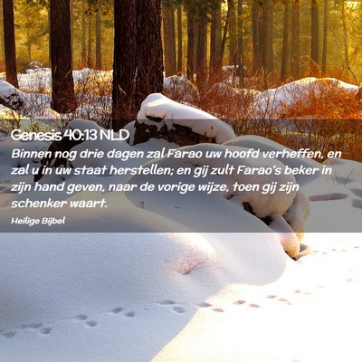 Picture 02 - Genesis 40:13 NLD - Binnen nog drie dagen zal Farao uw hoofd - Bible Verse Picture
