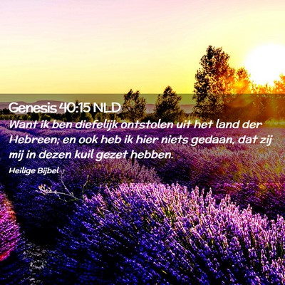 Picture 02 - Genesis 40:15 NLD - Want ik ben diefelijk ontstolen uit het land der - Bible Verse Picture