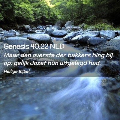 Picture 02 - Genesis 40:22 NLD - Maar den overste der bakkers hing hij op; gelijk - Bible Verse Picture