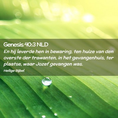 Picture 02 - Genesis 40:3 NLD - En hij leverde hen in bewaring, ten huize van den - Bible Verse Picture