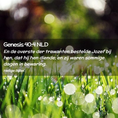 Picture 02 - Genesis 40:4 NLD - En de overste der trawanten bestelde Jozef bij - Bible Verse Picture