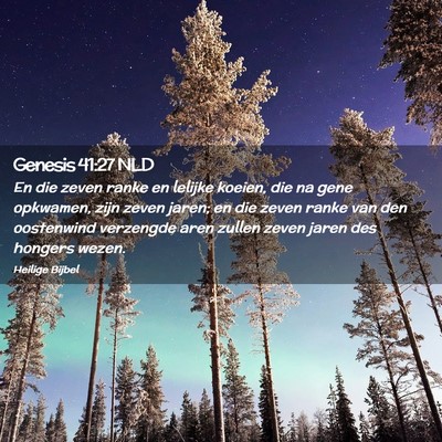 Picture 02 - Genesis 41:27 NLD - En die zeven ranke en lelijke koeien, die na gene - Bible Verse Picture