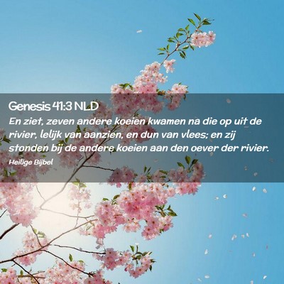 Picture 02 - Genesis 41:3 NLD - En ziet, zeven andere koeien kwamen na die op uit - Bible Verse Picture