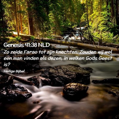 Picture 02 - Genesis 41:38 NLD - Zo zeide Farao tot zijn knechten: Zouden wij wel - Bible Verse Picture