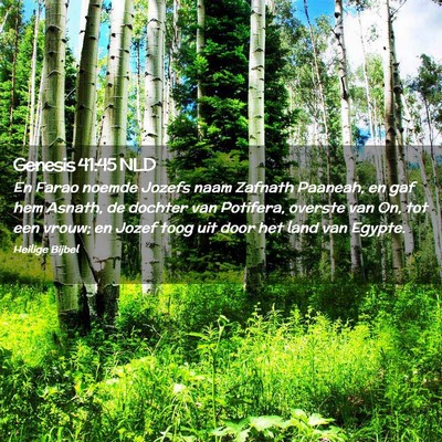 Picture 02 - Genesis 41:45 NLD - En Farao noemde Jozefs naam Zafnath Paaneah, en - Bible Verse Picture