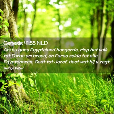 Picture 02 - Genesis 41:55 NLD - Als nu gans Egypteland hongerde, riep het volk - Bible Verse Picture