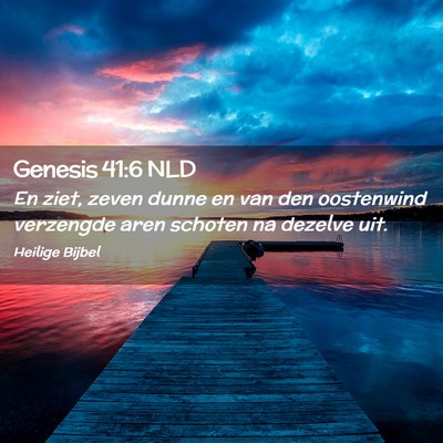 Picture 02 - Genesis 41:6 NLD - En ziet, zeven dunne en van den oostenwind - Bible Verse Picture