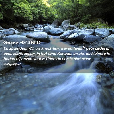 Picture 02 - Genesis 42:13 NLD - En zij zeiden: Wij, uw knechten, waren twaalf - Bible Verse Picture