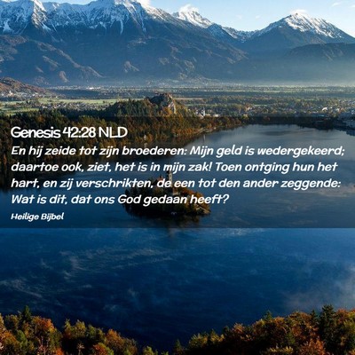 Picture 02 - Genesis 42:28 NLD - En hij zeide tot zijn broederen: Mijn geld is - Bible Verse Picture