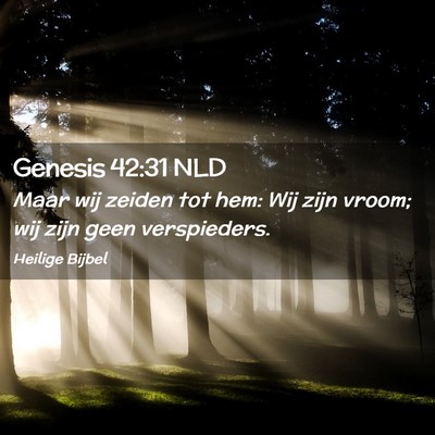 Picture 02 - Genesis 42:31 NLD - Maar wij zeiden tot hem: Wij zijn vroom; wij zijn - Bible Verse Picture