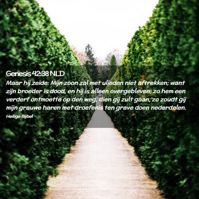 Picture 02 - Genesis 42:38 NLD - Maar hij zeide: Mijn zoon zal met ulieden niet - Bible Verse Picture