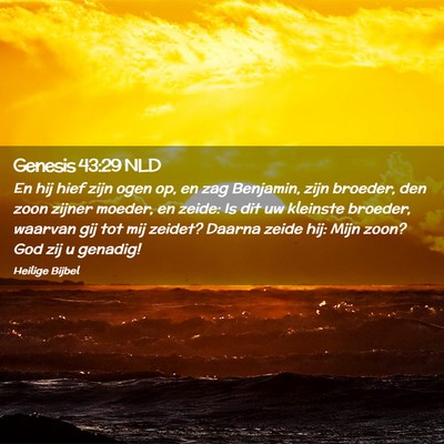 Picture 02 - Genesis 43:29 NLD - En hij hief zijn ogen op, en zag Benjamin, zijn - Bible Verse Picture