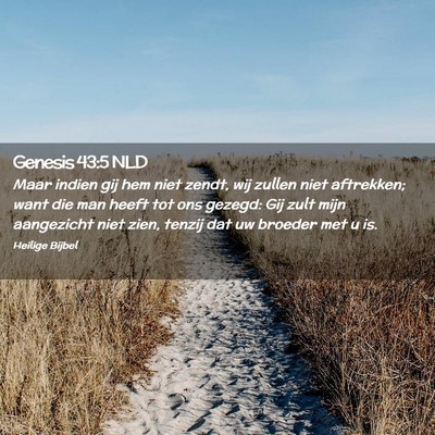 Picture 02 - Genesis 43:5 NLD - Maar indien gij hem niet zendt, wij zullen niet - Bible Verse Picture