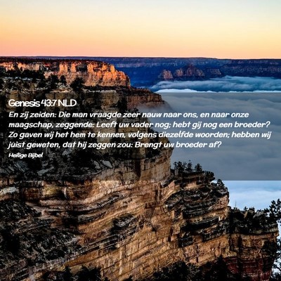 Picture 02 - Genesis 43:7 NLD - En zij zeiden: Die man vraagde zeer nauw naar - Bible Verse Picture