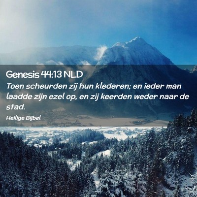 Picture 02 - Genesis 44:13 NLD - Toen scheurden zij hun klederen; en ieder man - Bible Verse Picture