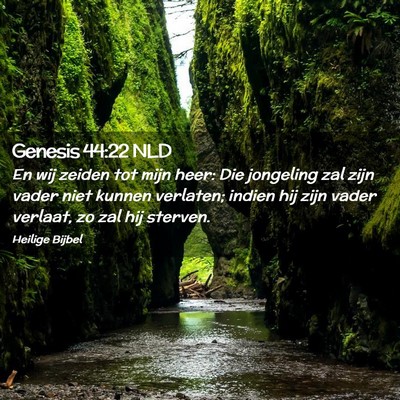 Picture 02 - Genesis 44:22 NLD - En wij zeiden tot mijn heer: Die jongeling zal - Bible Verse Picture