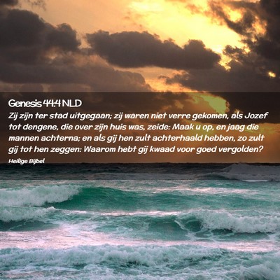 Picture 02 - Genesis 44:4 NLD - Zij zijn ter stad uitgegaan; zij waren niet verre - Bible Verse Picture