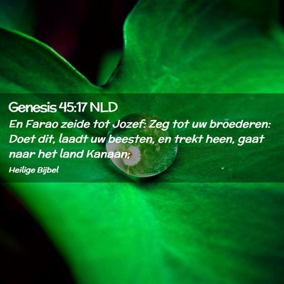 Picture 02 - Genesis 45:17 NLD - En Farao zeide tot Jozef: Zeg tot uw broederen: - Bible Verse Picture