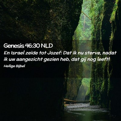 Picture 02 - Genesis 46:30 NLD - En Israel zeide tot Jozef: Dat ik nu sterve, - Bible Verse Picture