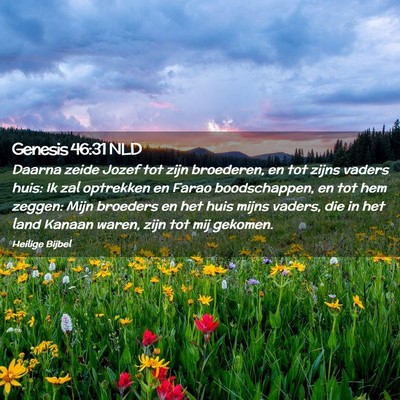Picture 02 - Genesis 46:31 NLD - Daarna zeide Jozef tot zijn broederen, en tot - Bible Verse Picture