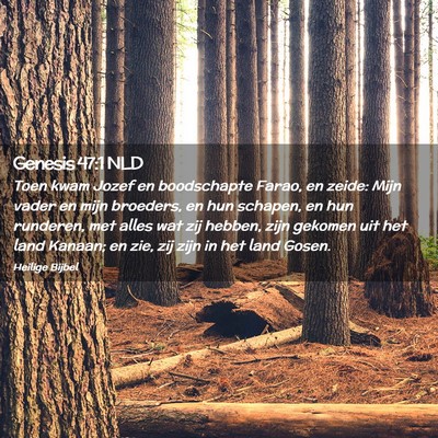 Picture 02 - Genesis 47:1 NLD - Toen kwam Jozef en boodschapte Farao, en zeide: - Bible Verse Picture