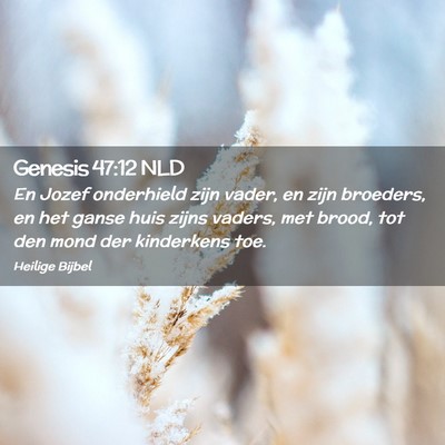Picture 02 - Genesis 47:12 NLD - En Jozef onderhield zijn vader, en zijn broeders, - Bible Verse Picture