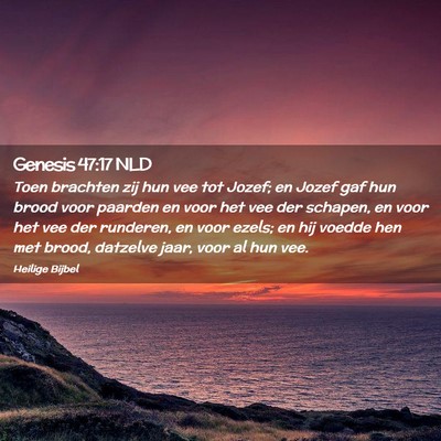 Picture 02 - Genesis 47:17 NLD - Toen brachten zij hun vee tot Jozef; en Jozef gaf - Bible Verse Picture
