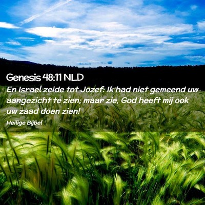 Picture 02 - Genesis 48:11 NLD - En Israel zeide tot Jozef: Ik had niet gemeend uw - Bible Verse Picture