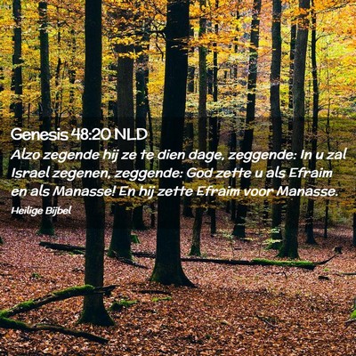 Picture 02 - Genesis 48:20 NLD - Alzo zegende hij ze te dien dage, zeggende: In u - Bible Verse Picture