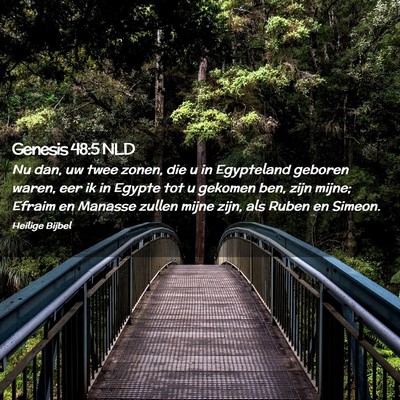 Picture 02 - Genesis 48:5 NLD - Nu dan, uw twee zonen, die u in Egypteland - Bible Verse Picture