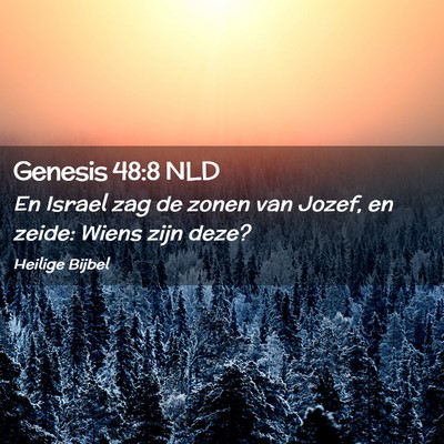 Picture 02 - Genesis 48:8 NLD - En Israel zag de zonen van Jozef, en zeide: Wiens - Bible Verse Picture