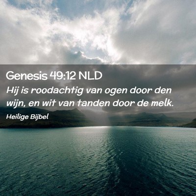 Picture 02 - Genesis 49:12 NLD - Hij is roodachtig van ogen door den wijn, en wit - Bible Verse Picture