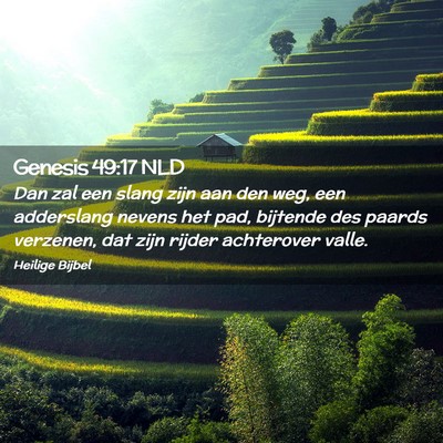 Picture 02 - Genesis 49:17 NLD - Dan zal een slang zijn aan den weg, een - Bible Verse Picture