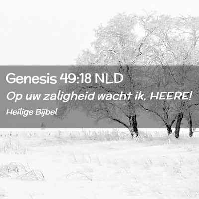 Picture 02 - Genesis 49:18 NLD - Op uw zaligheid wacht ik, - Bible Verse Picture