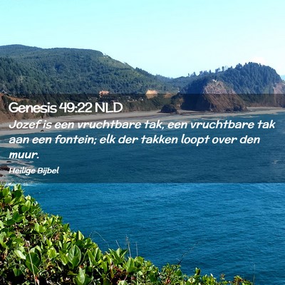 Picture 02 - Genesis 49:22 NLD - Jozef is een vruchtbare tak, een vruchtbare tak - Bible Verse Picture