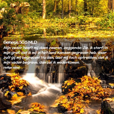 Picture 02 - Genesis 50:5 NLD - Mijn vader heeft mij doen zweren, zeggende: Zie, - Bible Verse Picture